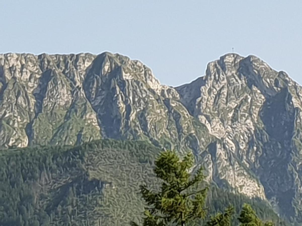 Willa Za Strugiem Zakopane Exteriör bild