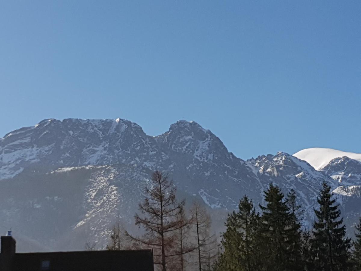 Willa Za Strugiem Zakopane Exteriör bild