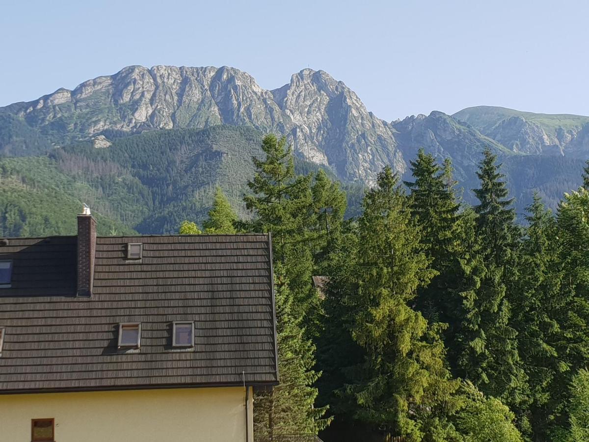 Willa Za Strugiem Zakopane Exteriör bild